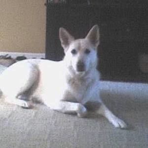 Meet your Posher, Randy